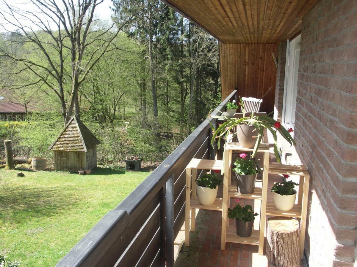 Ferienwohnung An Der Farchauer Muehle Schmilau Zewnętrze zdjęcie
